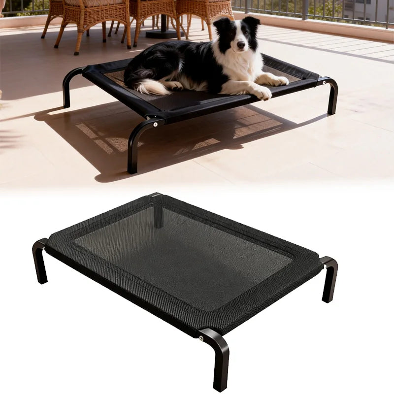 Skyline elevated dog bed with dog resting on the raised mesh cot