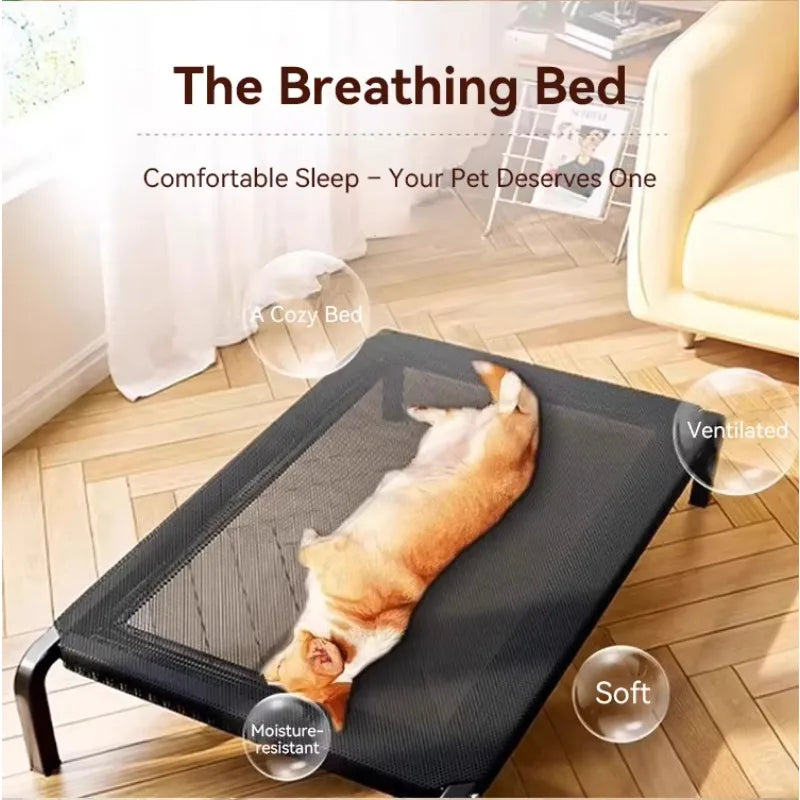 Skyline elevated dog bed size comparison