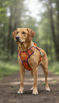 Amber orange adjustable no-pull dog harness